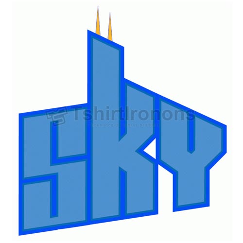 Chicago Sky T-shirts Iron On Transfers N5663 - Click Image to Close